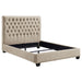 Chloe Queen Beds - Casa Morelos / Coahuila Furniture (Oklahoma City, OK)