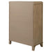 Revello Chests - Casa Morelos / Coahuila Furniture (Oklahoma City, OK)