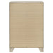 Trenton Chests - Casa Morelos / Coahuila Furniture (Oklahoma City, OK)