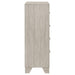 Trenton Chests - Casa Morelos / Coahuila Furniture (Oklahoma City, OK)