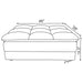 Atlantic Ottomans - Casa Morelos / Coahuila Furniture (Oklahoma City, OK)