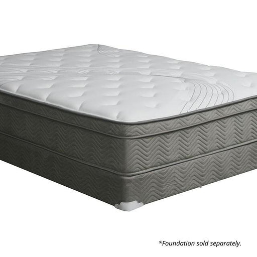 AFTON White/Gray 12" Euro Box Pocket Coil, Cal.King, E king, Full, & Queen - Casa Morelos / Coahuila Furniture (Oklahoma City, OK)