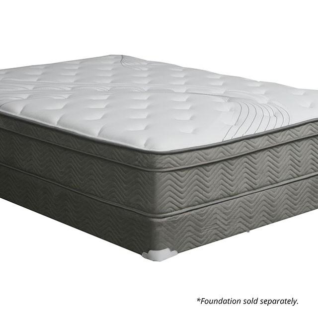 AFTON White/Gray 12" Euro Box Pocket Coil, Cal.King, E king, Full, & Queen - Casa Morelos / Coahuila Furniture (Oklahoma City, OK)