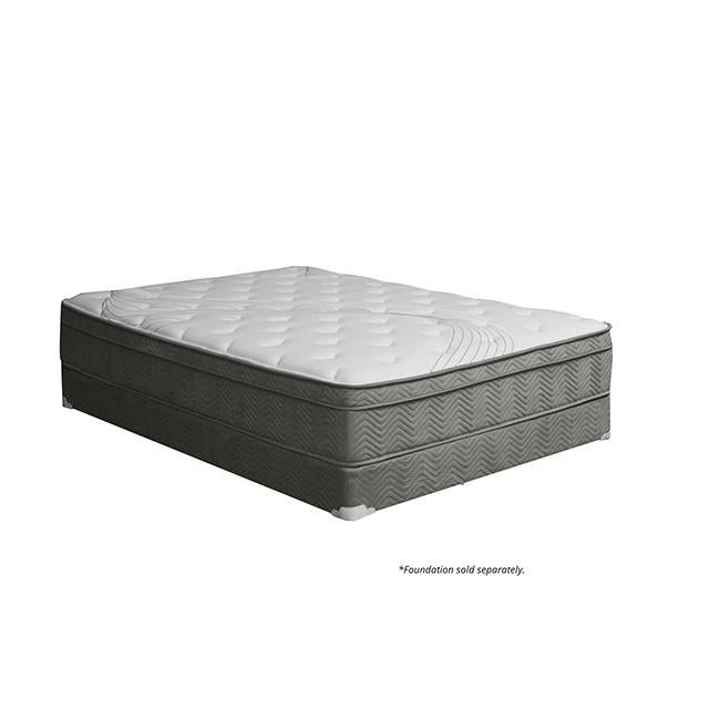 AFTON White/Gray 12" Euro Box Pocket Coil, Cal.King, E king, Full, & Queen - Casa Morelos / Coahuila Furniture (Oklahoma City, OK)