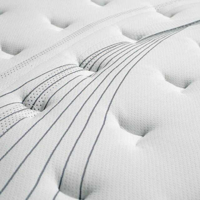 AFTON White/Gray 12" Euro Box Pocket Coil, Cal.King, E king, Full, & Queen - Casa Morelos / Coahuila Furniture (Oklahoma City, OK)