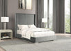 Cadwell Bed Black, Grey, Pink & White - Casa Morelos / Coahuila Furniture (Oklahoma City, OK)