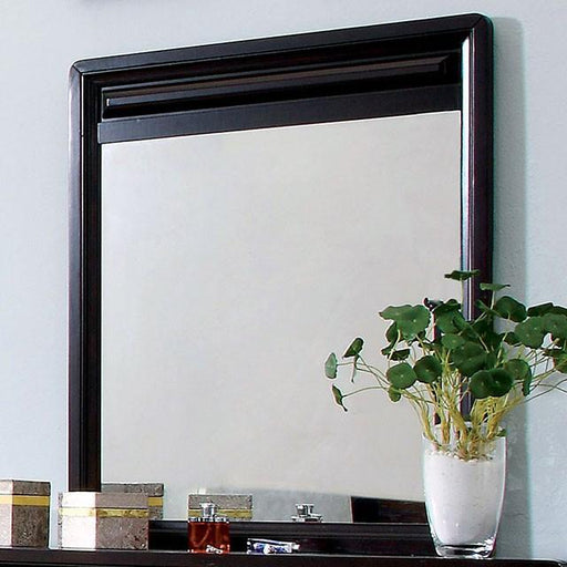 Yorkville Espresso Mirror - Casa Morelos / Coahuila Furniture (Oklahoma City, OK)
