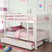 Cameron Dark Walnut, White & Gray Full/Full Bunk Bed - Casa Morelos / Coahuila Furniture (Oklahoma City, OK)