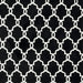 Carla Medium Rug Onyx - Casa Morelos / Coahuila Furniture (Oklahoma City, OK)