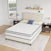 Catmint 10" Full Innerspring Mattress - Casa Morelos / Coahuila Furniture (Oklahoma City, OK)