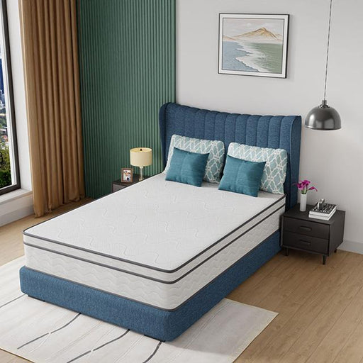 Catmint 12" Full Innerspring Mattress - Casa Morelos / Coahuila Furniture (Oklahoma City, OK)