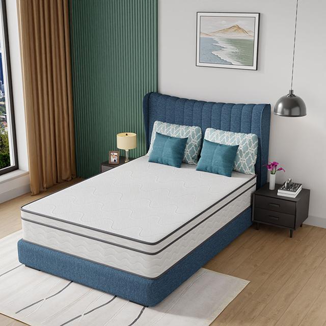Catmint 12" Full Innerspring Mattress - Casa Morelos / Coahuila Furniture (Oklahoma City, OK)