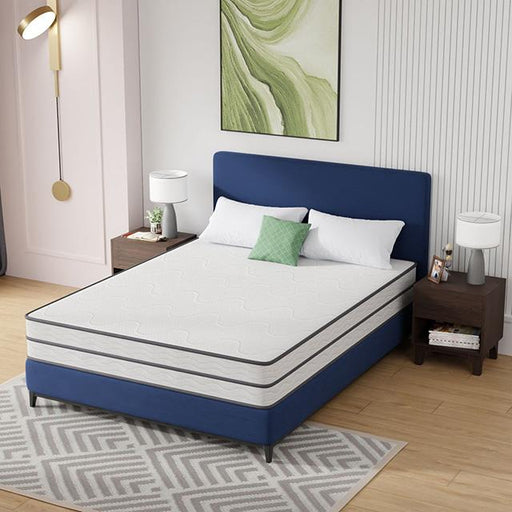 Catmint 10" Queen Innerspring Mattress - Casa Morelos / Coahuila Furniture (Oklahoma City, OK)