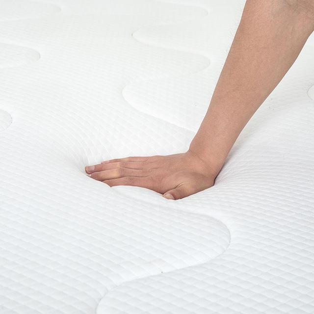 Catmint Mattress - Casa Morelos / Coahuila Furniture (Oklahoma City, OK)