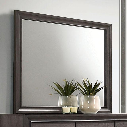 Chrissy Gray Mirror - Casa Morelos / Coahuila Furniture (Oklahoma City, OK)
