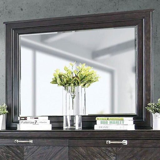 Argyros Espresso Mirror - Casa Morelos / Coahuila Furniture (Oklahoma City, OK)