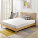 Artemisia 6" Full, Queen, & Twin Memory Foam Mattress - Casa Morelos / Coahuila Furniture (Oklahoma City, OK)