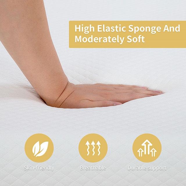 Artemisia 8" Memory Foam Mattress - Casa Morelos / Coahuila Furniture (Oklahoma City, OK)