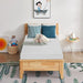 Artemisia 8" Cal. King, E.King, Full, & Queen Memory Foam Mattress - Casa Morelos / Coahuila Furniture (Oklahoma City, OK)