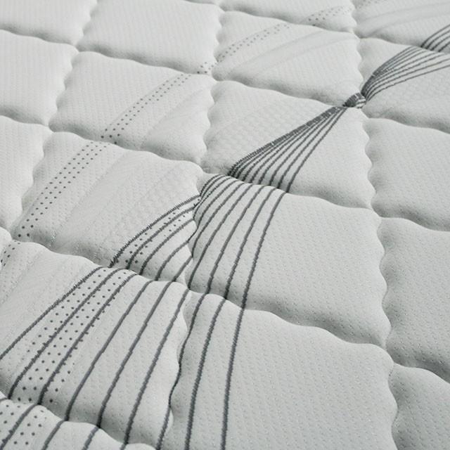 Edrea 10 Tight Top Pocket Coil - Casa Morelos / Coahuila Furniture (Oklahoma City, OK)