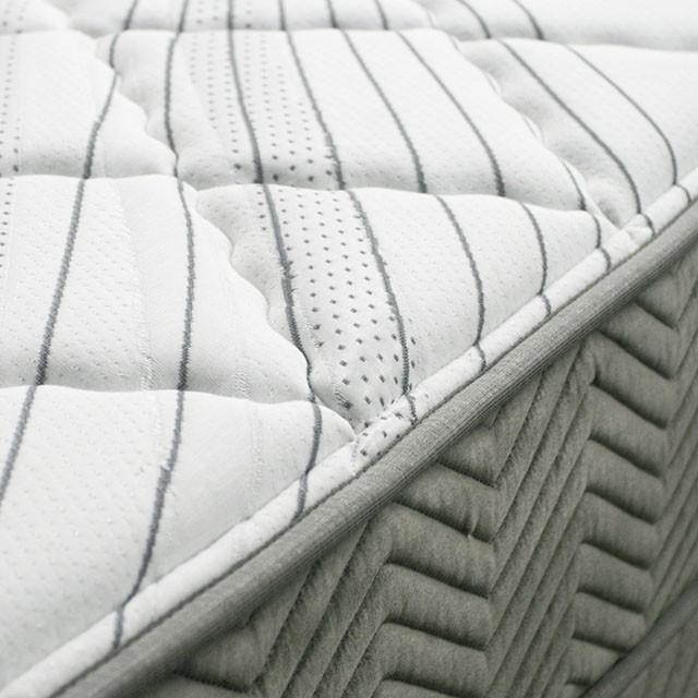 Edrea 10 Tight Top Pocket Coil - Casa Morelos / Coahuila Furniture (Oklahoma City, OK)
