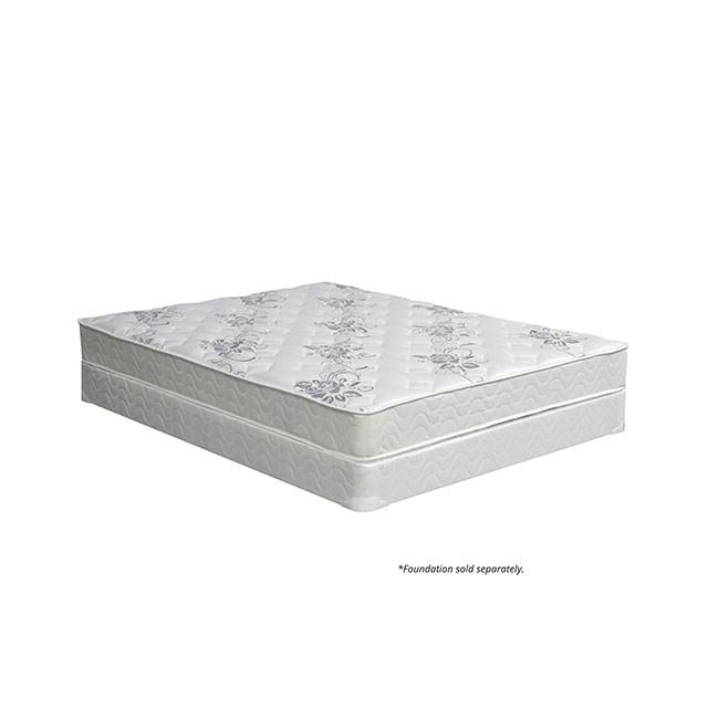 Elbertyna 8 Tight Top Mattress (Non-Flip) - Casa Morelos / Coahuila Furniture (Oklahoma City, OK)