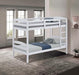 Finsbury Twin Twin Bunk Bed Espresso, Grey & White - Casa Morelos / Coahuila Furniture (Oklahoma City, OK)