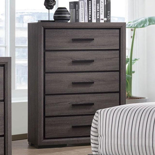 Conwy Gray Chest - Casa Morelos / Coahuila Furniture (Oklahoma City, OK)