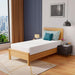 Coreopsis 10" Twin Memory Foam Wave Comfort - Casa Morelos / Coahuila Furniture (Oklahoma City, OK)