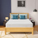 Coreopsis 12" Queen Memory Foam Wave Comfort - Casa Morelos / Coahuila Furniture (Oklahoma City, OK)