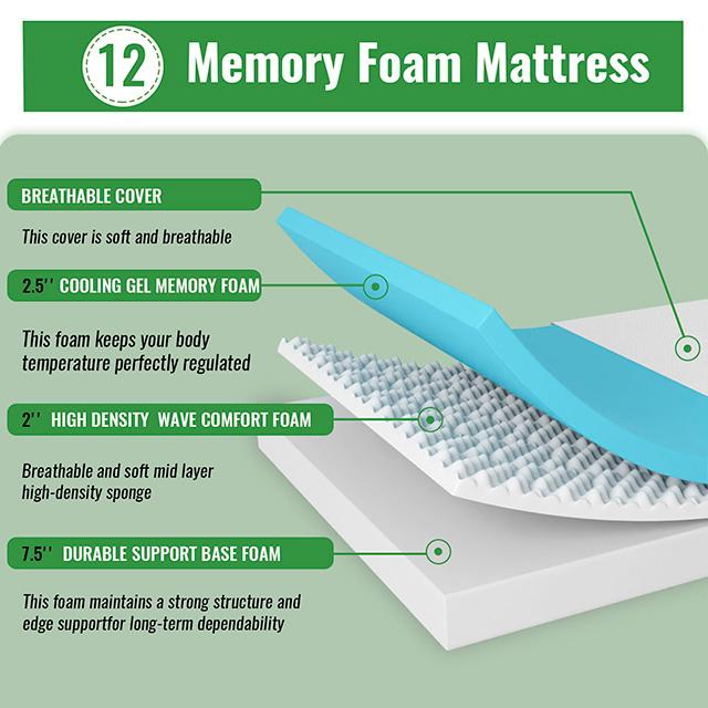 Coreopsis 12" Queen Memory Foam Wave Comfort - Casa Morelos / Coahuila Furniture (Oklahoma City, OK)