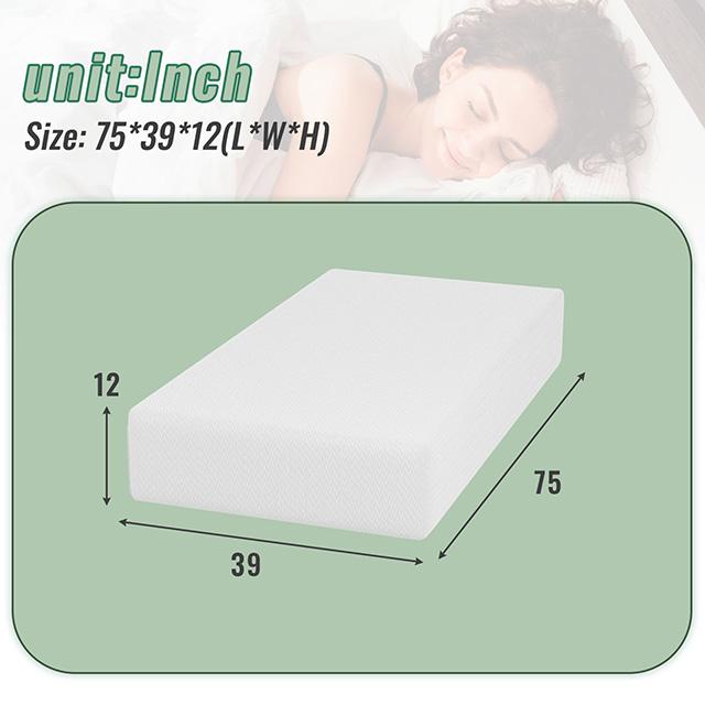 Coreopsis 12" Twin Memory Foam Wave Comfort - Casa Morelos / Coahuila Furniture (Oklahoma City, OK)