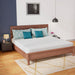 Coreopsis 8" E.King Memory Foam Wave Comfort - Casa Morelos / Coahuila Furniture (Oklahoma City, OK)