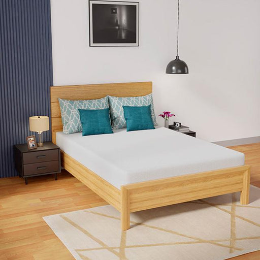 Coreopsis 8" Full Memory Foam Wave Comfort - Casa Morelos / Coahuila Furniture (Oklahoma City, OK)