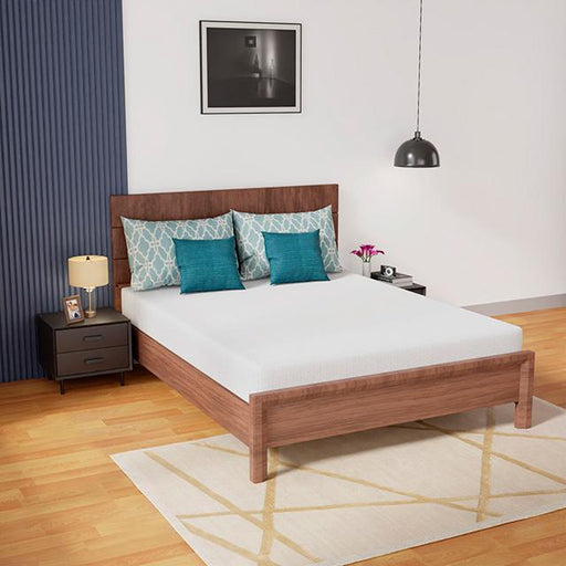 Coreopsis Mattress - Casa Morelos / Coahuila Furniture (Oklahoma City, OK)