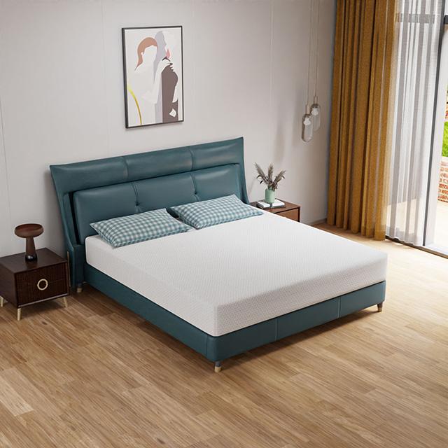 Forsythia 10" E.King Green Tea Gel Memory Foam - Casa Morelos / Coahuila Furniture (Oklahoma City, OK)