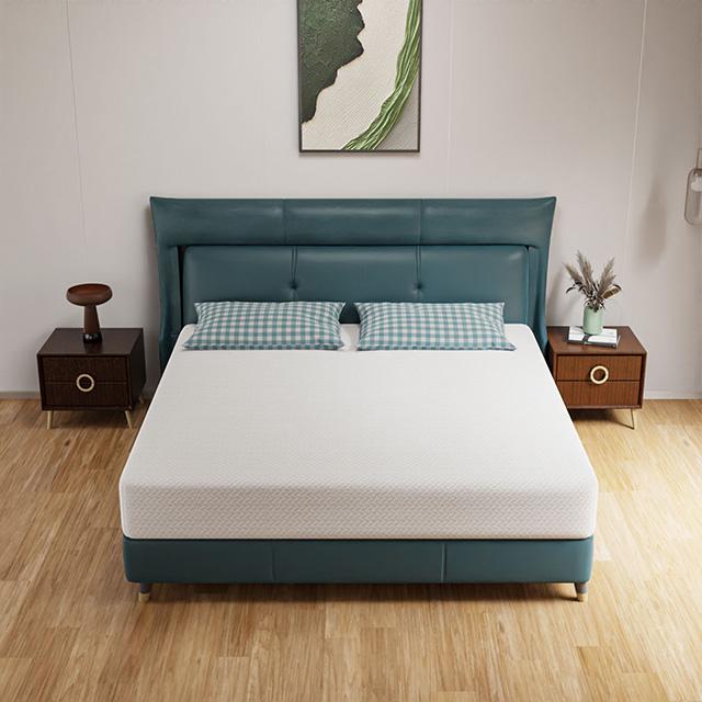 Forsythia 10" E.King Green Tea Gel Memory Foam - Casa Morelos / Coahuila Furniture (Oklahoma City, OK)