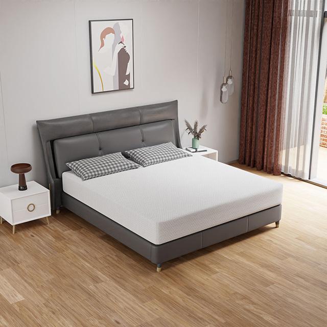 Forsythia 10" Queen Green Tea Gel Memory Foam - Casa Morelos / Coahuila Furniture (Oklahoma City, OK)