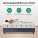 Forsythia 12" Queen Green Tea Gel Memory Foam - Casa Morelos / Coahuila Furniture (Oklahoma City, OK)