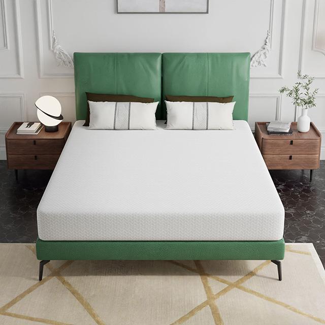 Forsythia 8" E.King Green Tea Gel Memory Foam - Casa Morelos / Coahuila Furniture (Oklahoma City, OK)