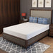 Forsythia 8" Full Green Tea Gel Memory Foam - Casa Morelos / Coahuila Furniture (Oklahoma City, OK)