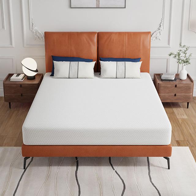 Forsythia 8" Queen Green Tea Gel Memory Foam - Casa Morelos / Coahuila Furniture (Oklahoma City, OK)