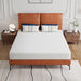 Forsythia 8" Queen Green Tea Gel Memory Foam - Casa Morelos / Coahuila Furniture (Oklahoma City, OK)