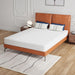 Forsythia 8" Queen Green Tea Gel Memory Foam - Casa Morelos / Coahuila Furniture (Oklahoma City, OK)