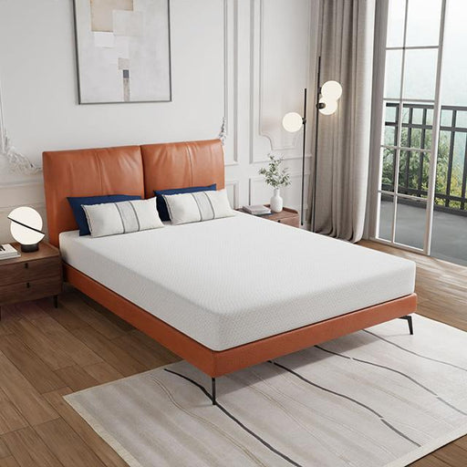 Forsythia Mattress - Casa Morelos / Coahuila Furniture (Oklahoma City, OK)