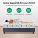Forsythia Mattress - Casa Morelos / Coahuila Furniture (Oklahoma City, OK)