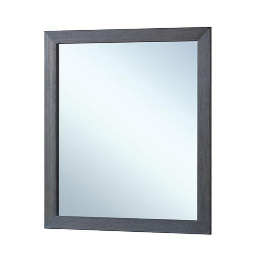 Griffin Mirror - Casa Morelos / Coahuila Furniture (Oklahoma City, OK)