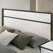 BIRSFELDEN Cal.King, E.King, & Queen Bed, White - Casa Morelos / Coahuila Furniture (Oklahoma City, OK)