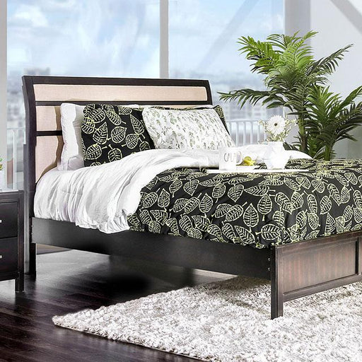 Berenice Bed Purple Brown - Casa Morelos / Coahuila Furniture (Oklahoma City, OK)