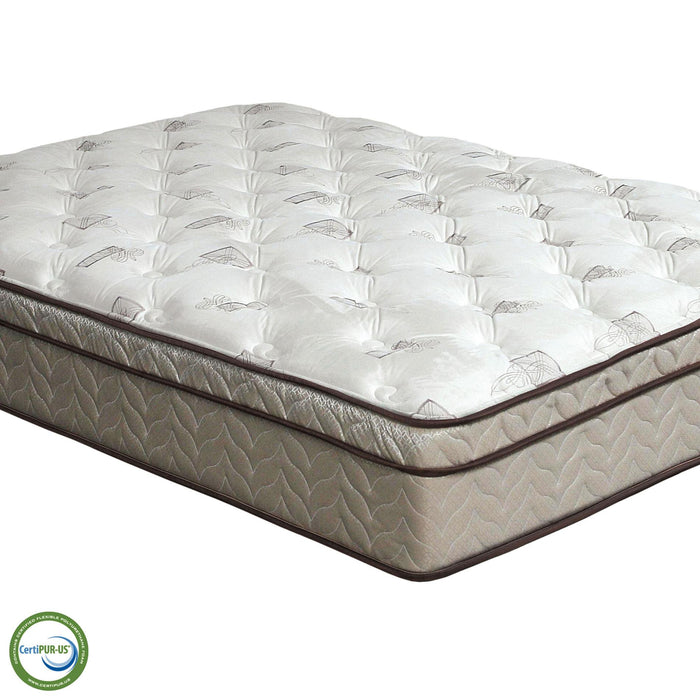 Lilium White/Brown 13" Euro Pillow Top Mattress, Twin - Casa Morelos / Coahuila Furniture (Oklahoma City, OK)